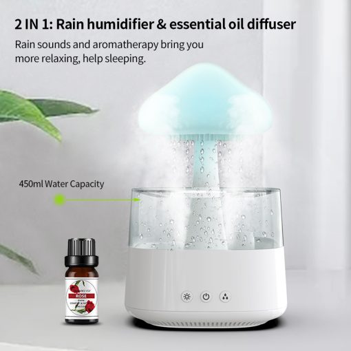 Raxiva-2 in 1 desk light humidifier rain cloud aromatherapy zen diffuser night light mushroom lamp