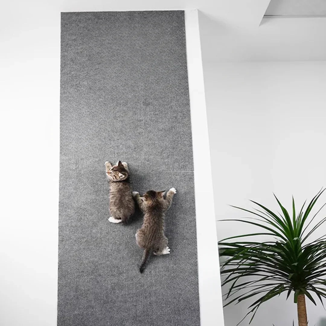 Raxiva-tapis griffoir autocollant protegez vos meubles faites plaisir chat