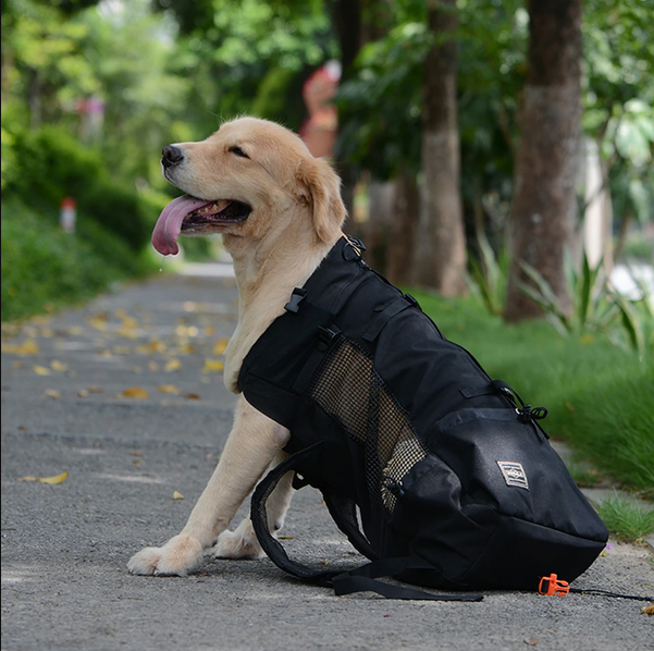 Raxiva-dog backpack carrier