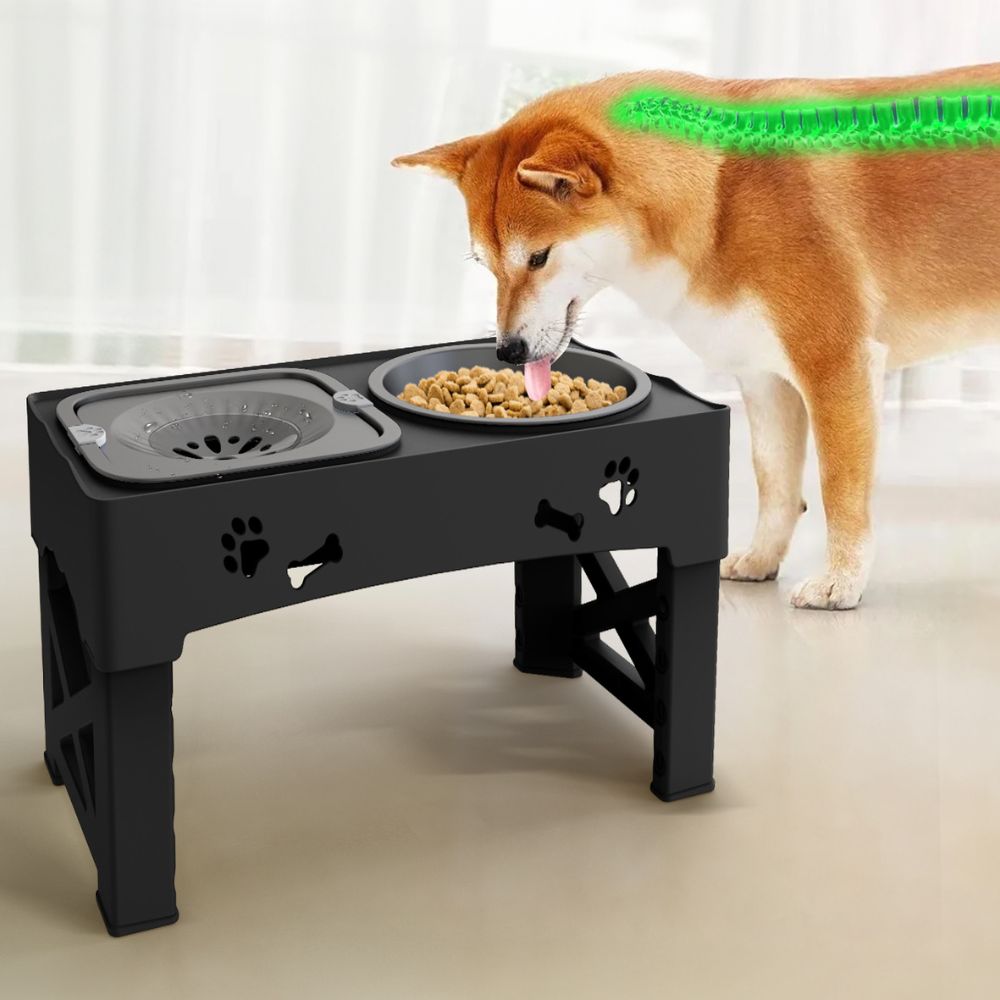 Raxiva-raised adjustable slow feeder for dogs