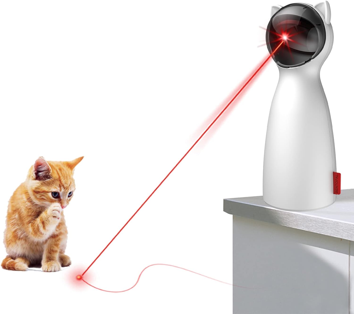 Raxiva-cat laser toy