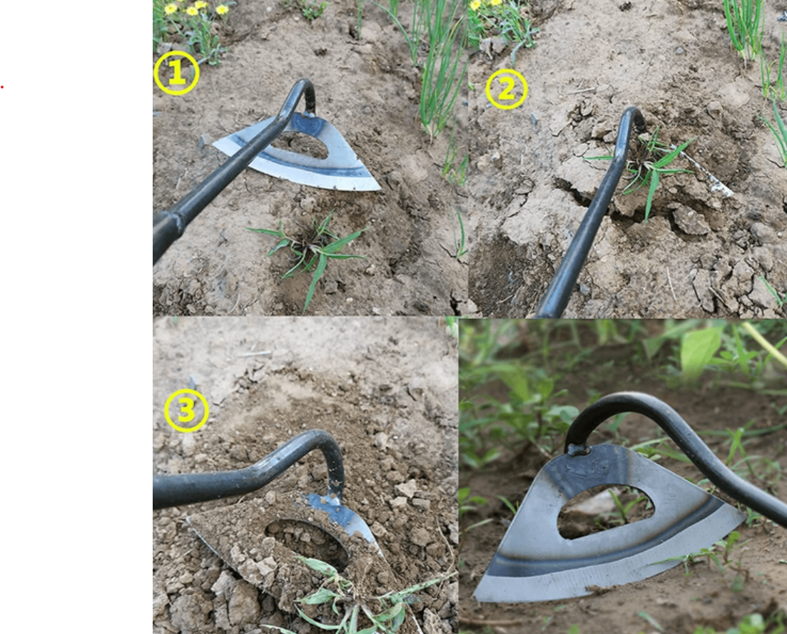 Raxiva-all steel hollow hoe for gardening