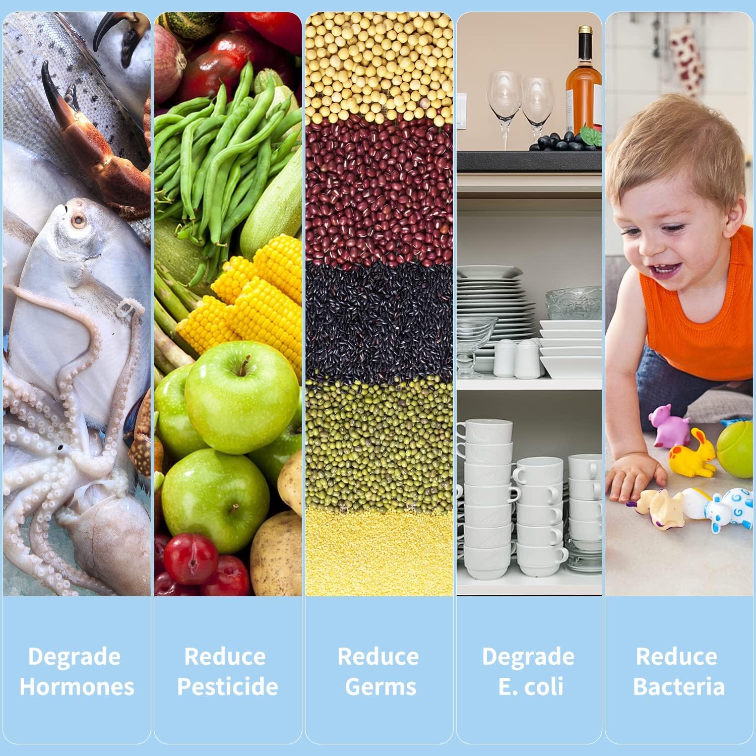 Raxiva-fruit vegetable washing machine