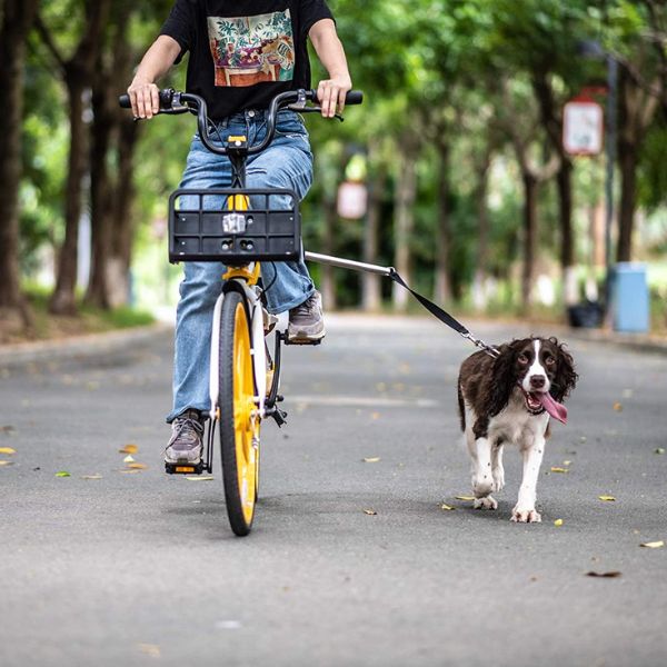 Raxiva-dog bicycle harness