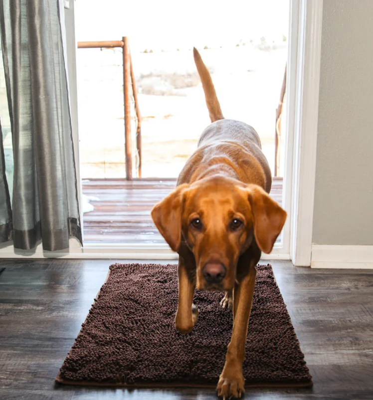 Raxiva-tapis microfibre ultra absorbant antiderapant lavable pour chien pawdry