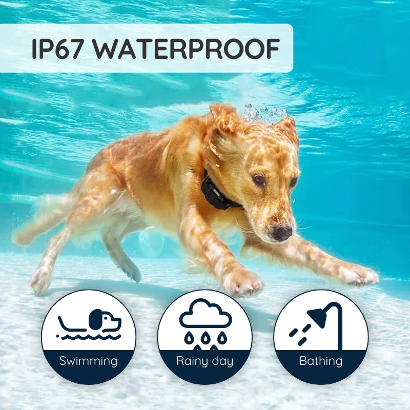 Raxiva remote dog training collar