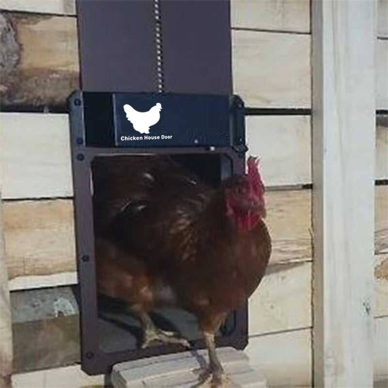 Raxiva-automatic chicken coop door opener light sensor