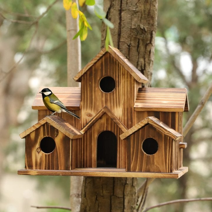 Raxiva-handcrafted wooden birdhouse 6 holes