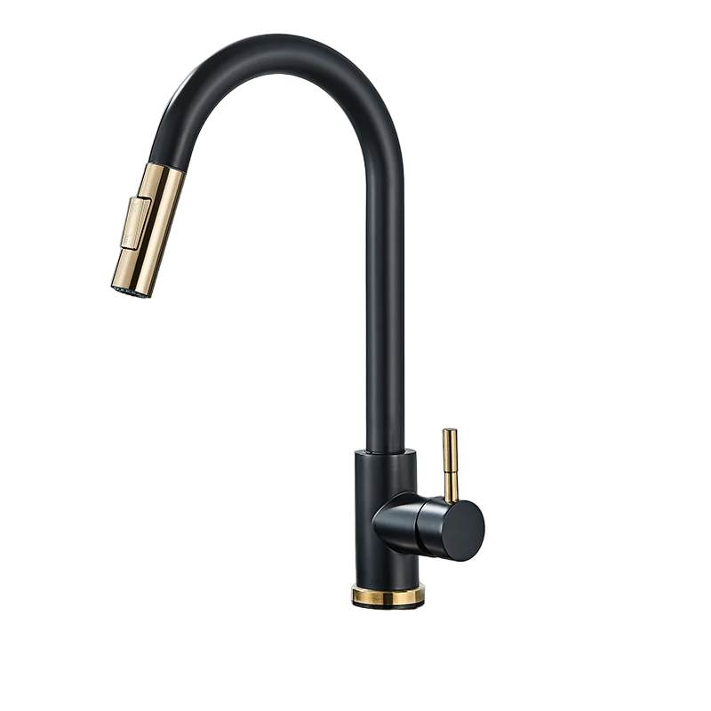 Raxiva-single handle pull out kitchen faucet versatile design modern kitchens