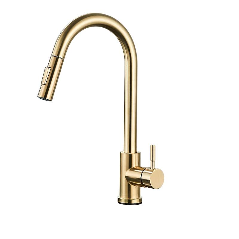 Raxiva-single handle pull out kitchen faucet versatile design modern kitchens