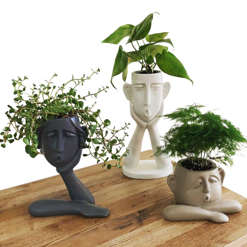 Raxiva - Modern Living Room Decoration