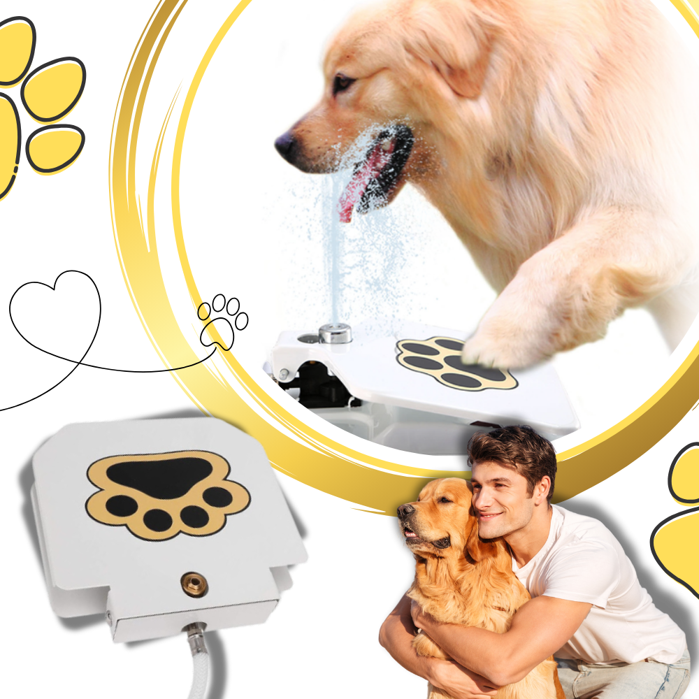 Raxiva - Paw Activated Dog Water Fountain