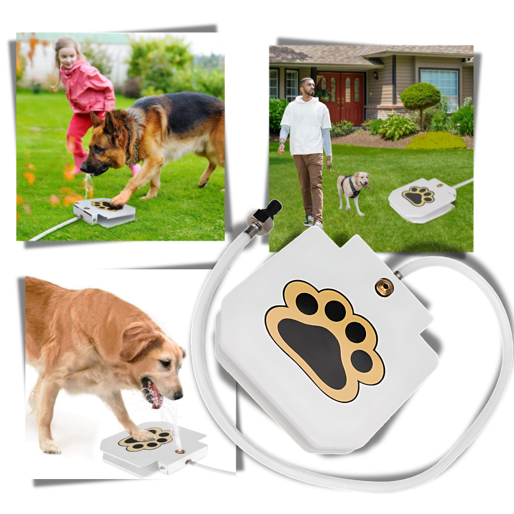 Raxiva - Paw Activated Dog Water Fountain