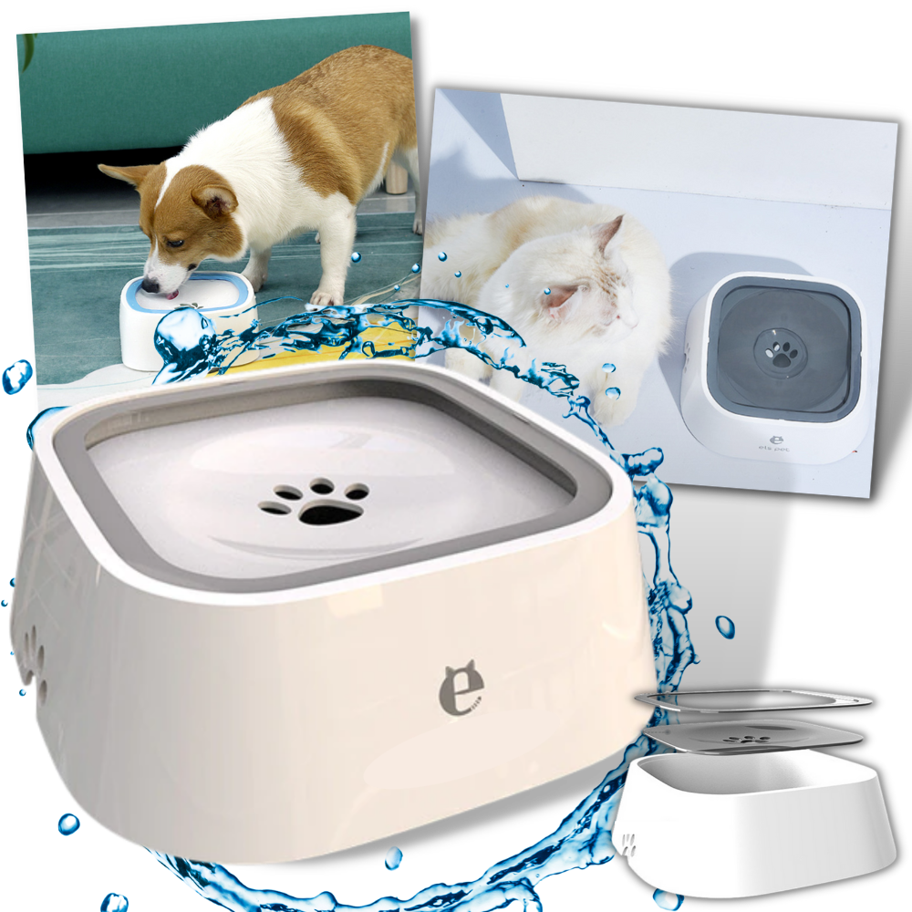 Raxiva - Pet Floating Water Bowl