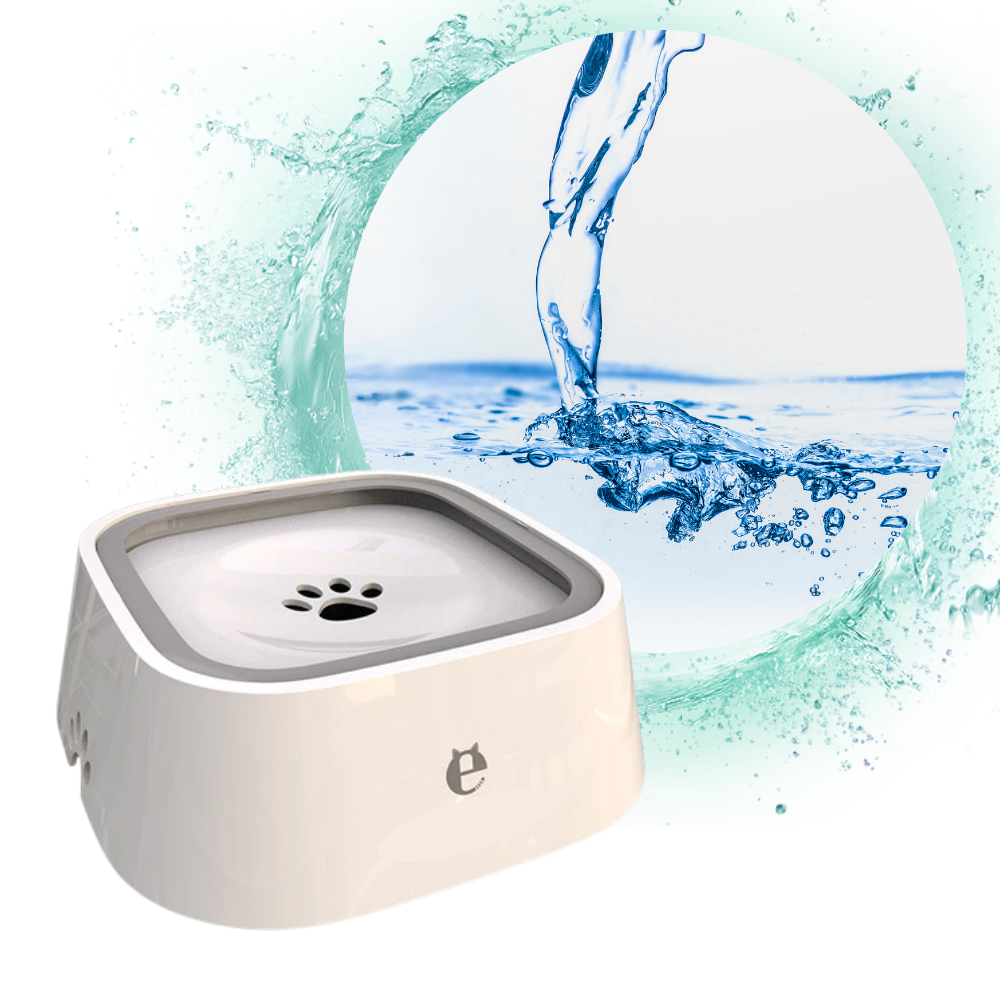 Raxiva - Pet Floating Water Bowl