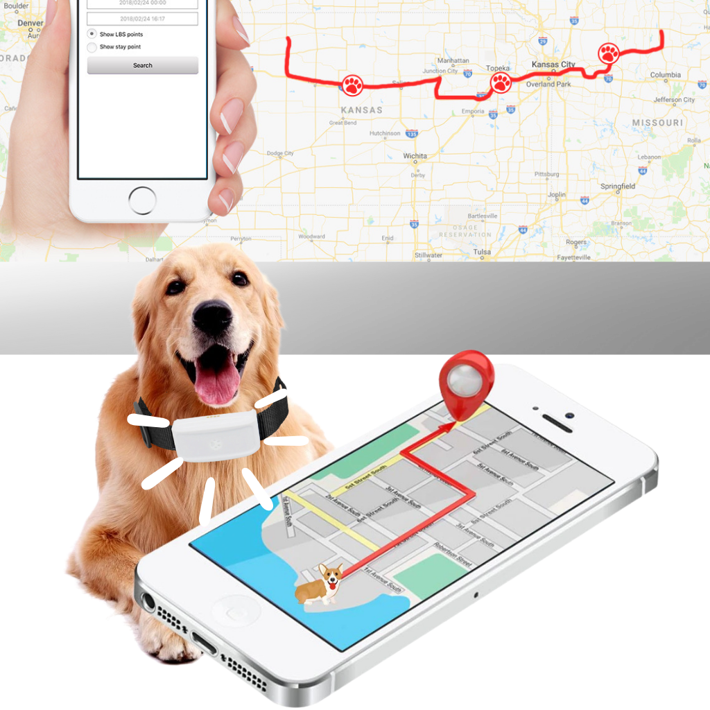 Raxiva - Pet GPS Tracking Collar
