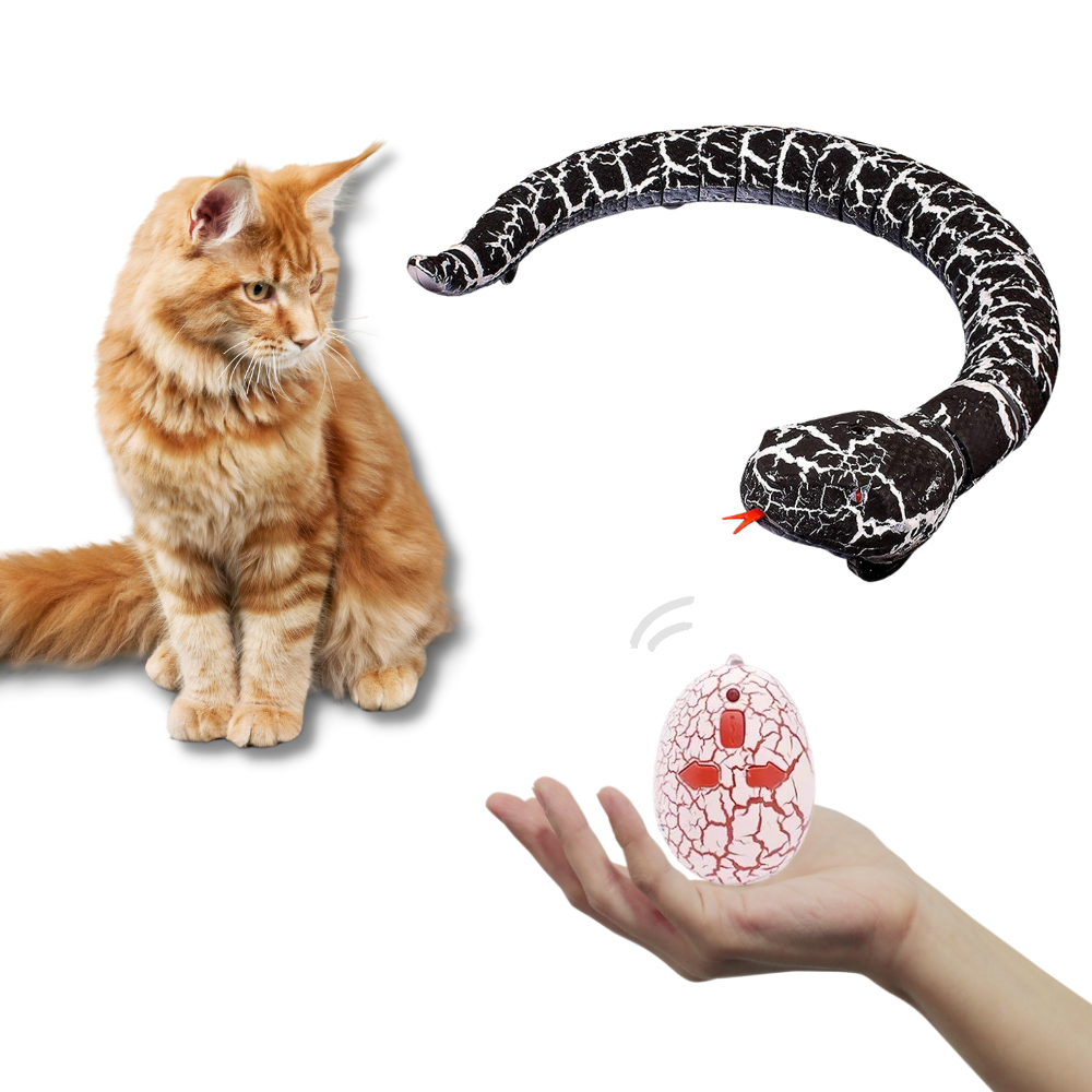 Raxiva - Remote control interactive snake toy for cat