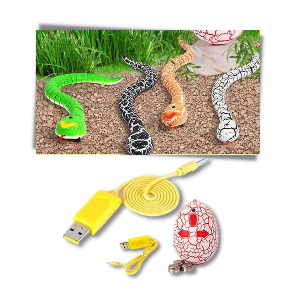 Raxiva - Remote control interactive snake toy for cat