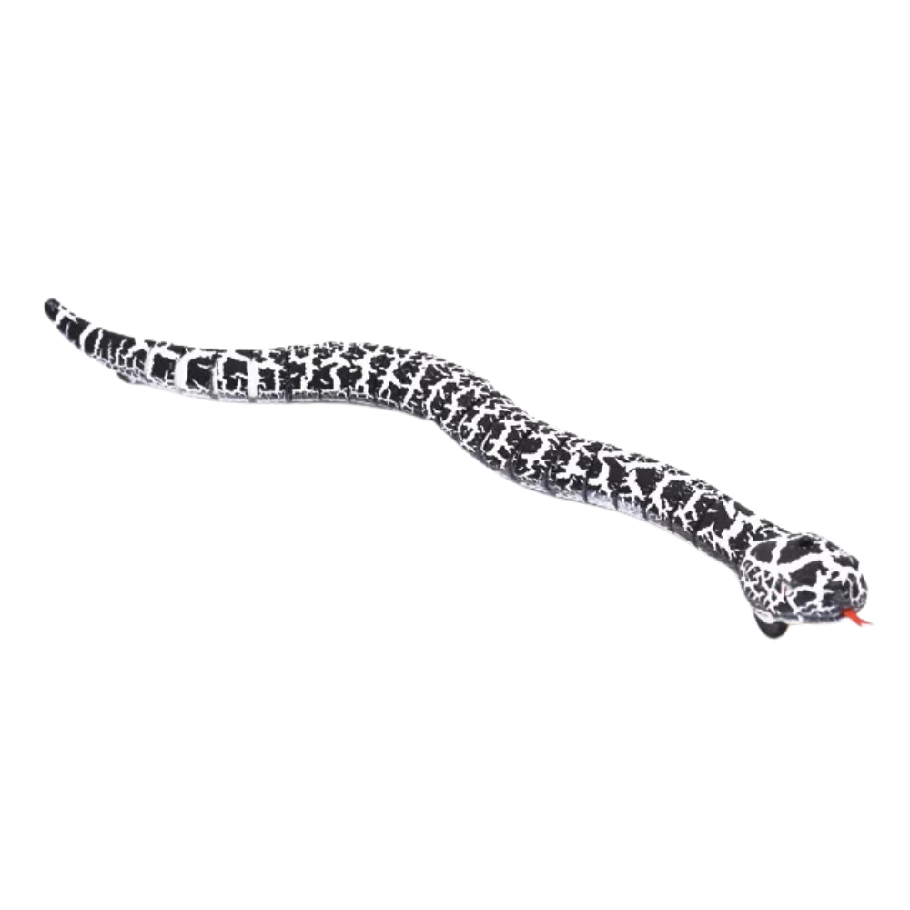 Remote control interactive snake toy for cat-Raxiva-Black-SKU38841708332974141PET7491695083581, Remote control interactive snake toy for cat, , Raxiva, PET,