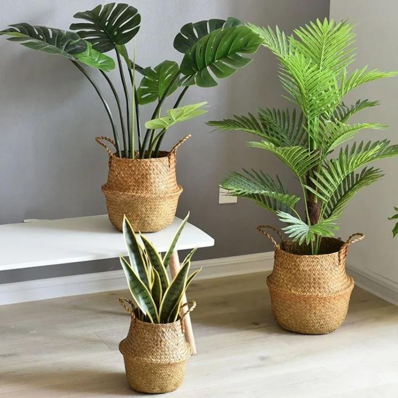 Raxiva universal flower basket