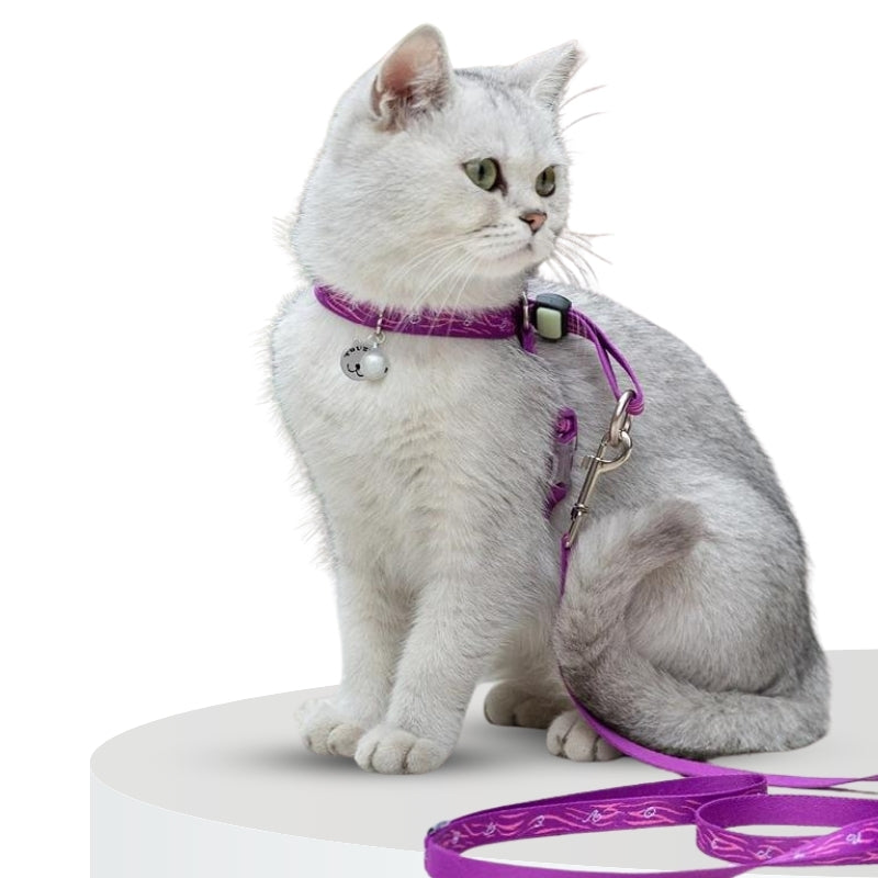 Raxiva cotton cat collar leash