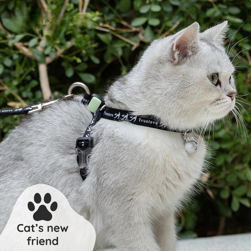 Raxiva cotton cat collar leash