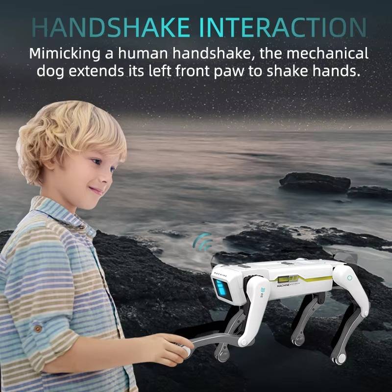 Raxiva-rc robot dog