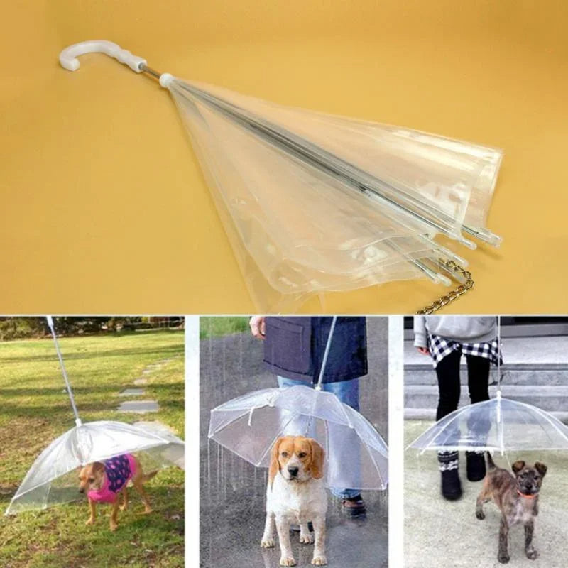 Raxiva-dog umbrella and leash