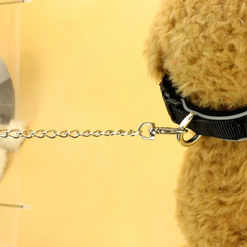 Raxiva-dog umbrella and leash