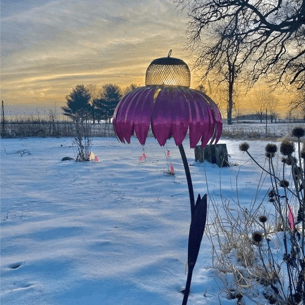 Raxiva-coneflower bird feeder