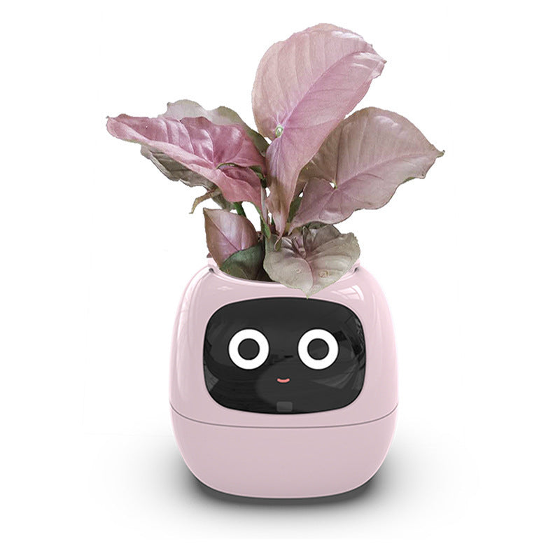 Raxiva-ivybot le compagnon vegetal revolutionnaire