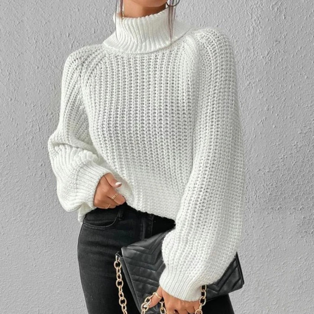 Raxiva-turtleneck sweater